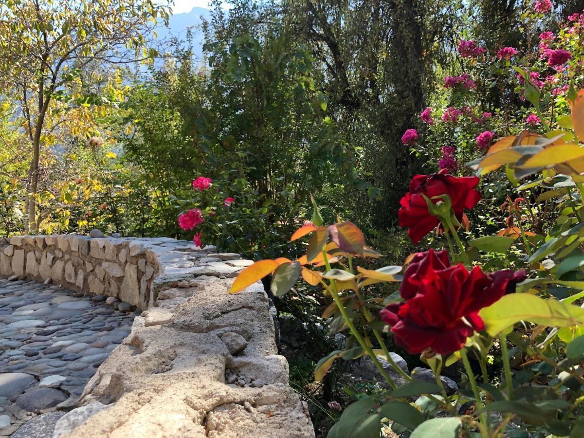 San José de Maipo Casa De Montana Inmersa En Bosque Nativo المظهر الخارجي الصورة