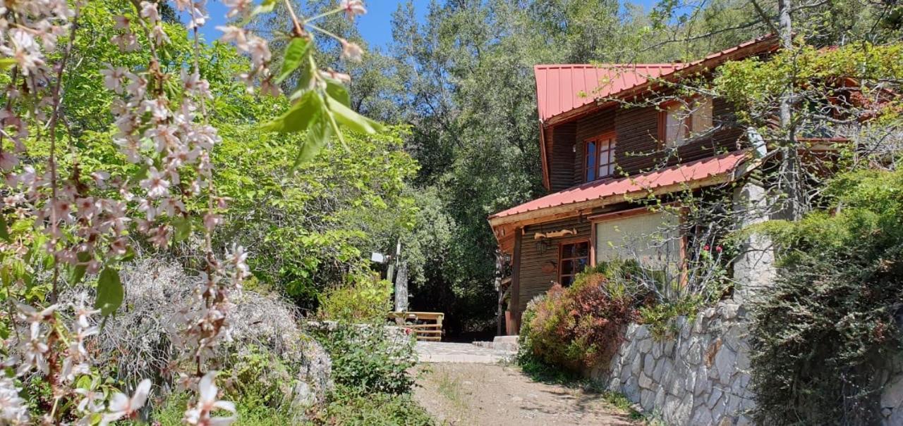 San José de Maipo Casa De Montana Inmersa En Bosque Nativo المظهر الخارجي الصورة